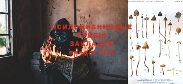 круглые Алзамай