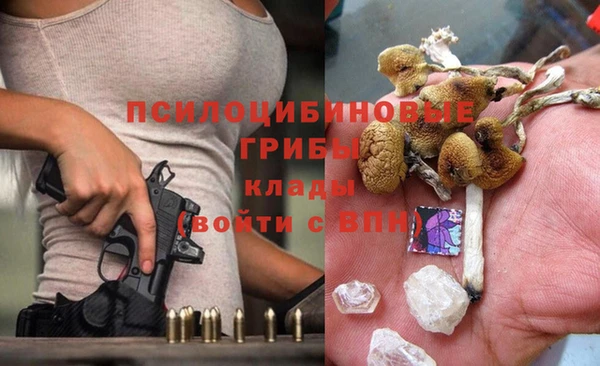 дурь Алексин