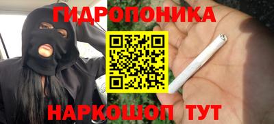 гидропоника Абинск