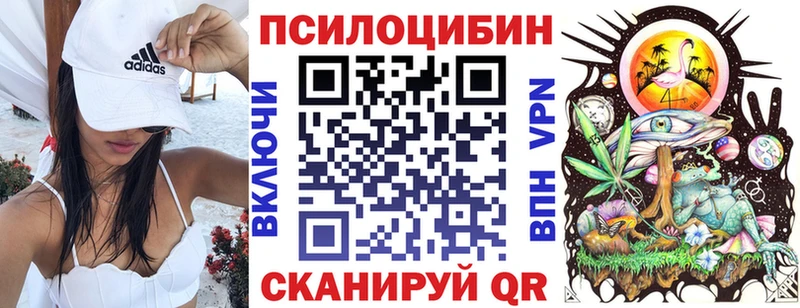 Псилоцибиновые грибы Cubensis Амурск