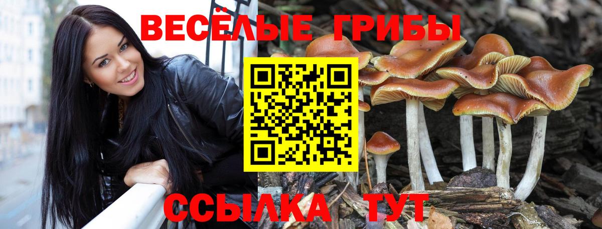 Галлюциногенные грибы GOLDEN TEACHER Амурск